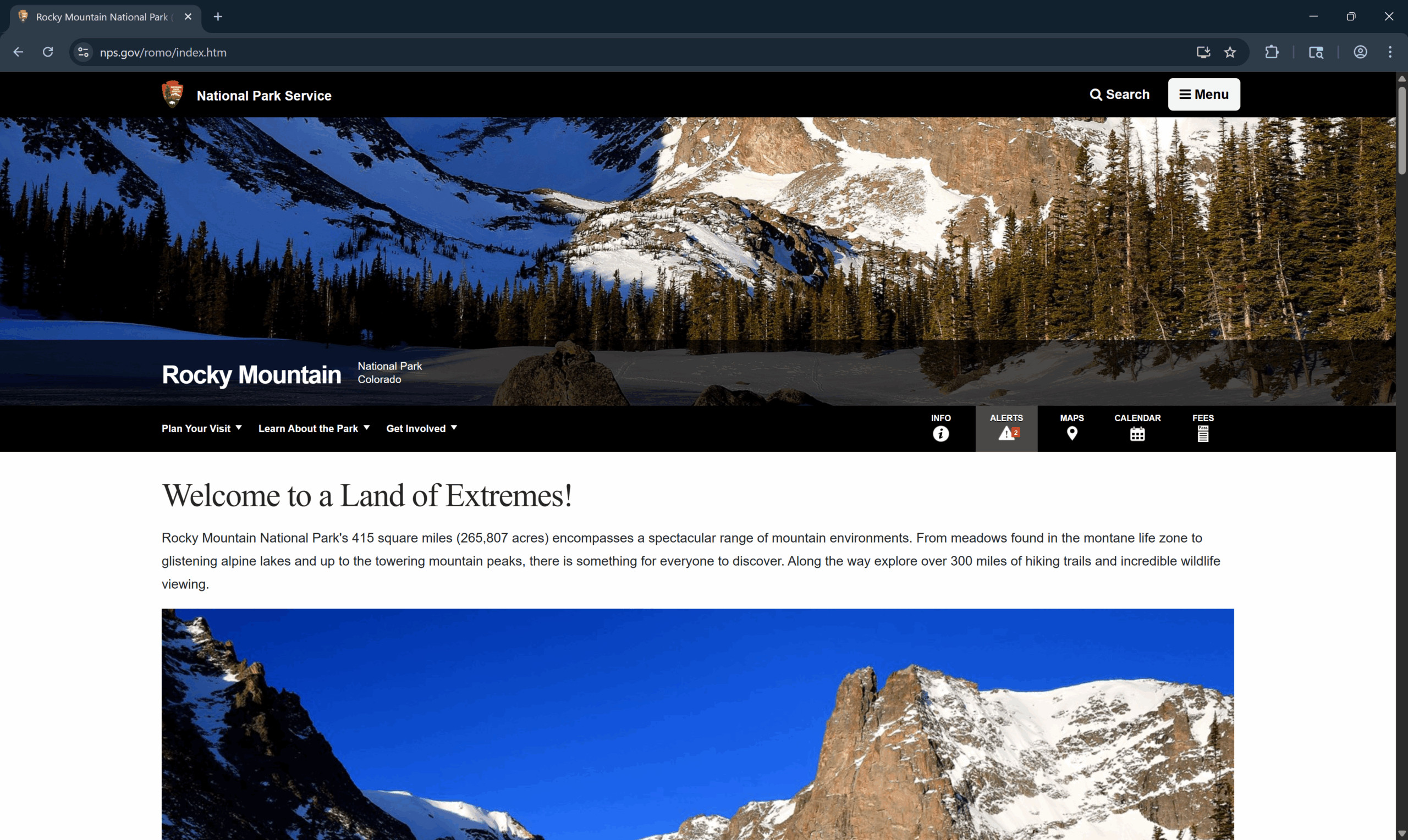 ROMO – Website